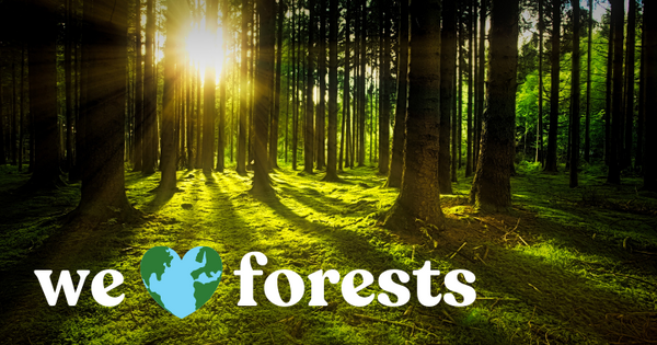 Why support International Day of Forests