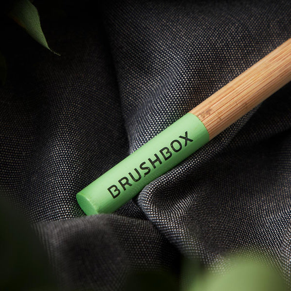 Brushbox and Eden Reforestation Projects - Let’s talk trees!