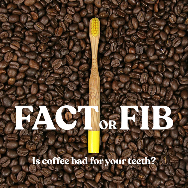 Fact or Fib: The Oral Health Edition