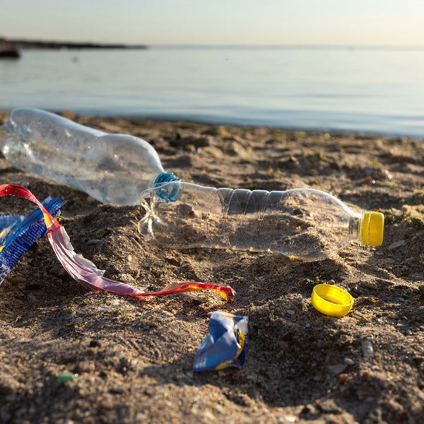 Will creating a circular economy for plastics stop ocean pollution?